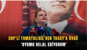 CHP'li Tamayalıgil'den Tugay'a övgü: 'Oyumu helal ediyorum'