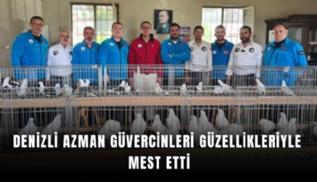 Denizli azman güvercinleri güzellikleriyle mest etti