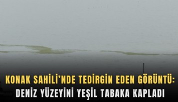 Konak Sahili’nde tedirgin eden görüntü: Deniz yüzeyini yeşil tabaka kapladı