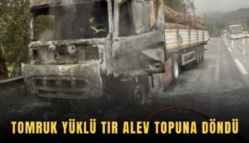 Tomruk yüklü tır alev topuna döndü