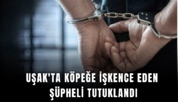 Uşak'ta köpeğe işkence eden şüpheli tutuklandı