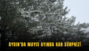 Aydın’da Mayıs ayında kar sürprizi