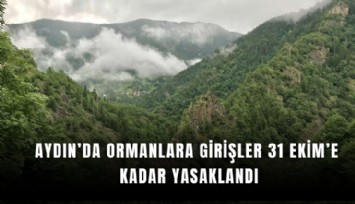 Aydın’da ormanlara girişler 31 Ekim’e kadar yasaklandı