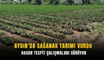 Aydın’da sağanak tarımı vurdu: Hasar tespit çalışmaları sürüyor