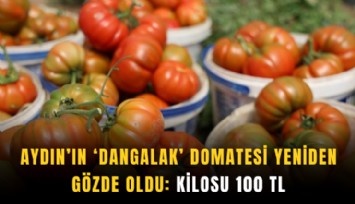 Aydın’ın ‘Dangalak’ domatesi yeniden gözde oldu: Kilosu 100 TL