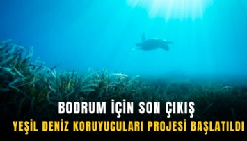 Bodrum için son çıkış: Yeşil deniz koruyucuları projesi başlatıldı
