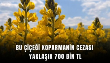 Bu çiçeği koparmanin cezası yaklaşık 700 bin TL