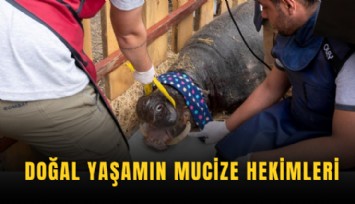 Doğal yaşamın mucize hekimleri