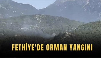 Fethiye'de orman yangını
