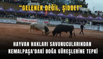 Hayvan hakları savunucularından Kemalpaşa'daki boğa güreşlerine tepki