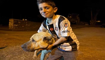 İki ayının saldırısına uğrayan Sencar’ı kangal köpeği kurtardı