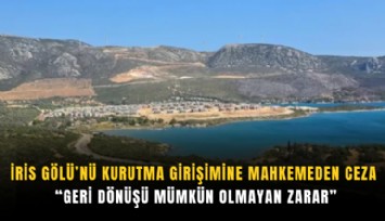 İris Gölü’nü kurutma girişimine mahkemeden ceza: Geri dönüşü mümkün olmayan zarar