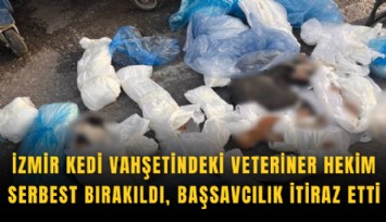 İzmir'de kedi vahşetindeki veteriner hekim serbest kaldı: Başsavcılık itiraz etti