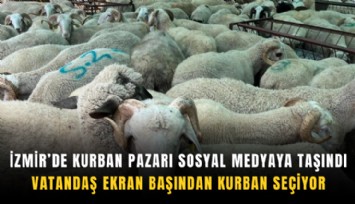 İzmir’de kurban pazarı sosyal medyaya taşındı: Vatandaş ekran başından kurban seçiyor