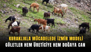 Kuraklıkla mücadelede İzmir modeli: Göletler hem üreticiye hem doğaya can