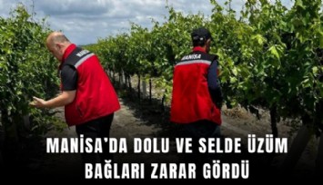 Manisa’da dolu ve selde üzüm bağları zarar gördü