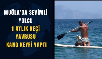 Muğla’da sevimli yolcu: 1 aylık keçi yavrusu kano keyfi yaptı