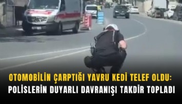 Otomobilin çarptığı yavru kedi telef oldu: Polislerin duyarlı davranışı takdir topladı