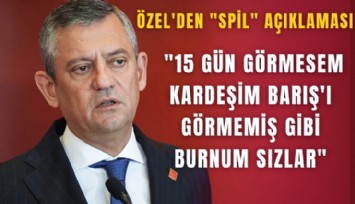 Özel'den ''Spil'' açıklaması: ''15 gün görmesem kardeşim Barış'ı görmemiş gibi burnum sızlar''