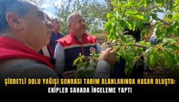 Şiddetli dolu yağışı sonrası tarım alanlarında hasar oluştu