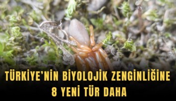 Türkiye’nin biyolojik zenginliğine 8 yeni tür daha