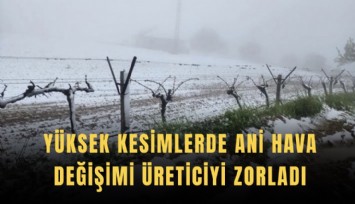 Yüksek kesimlerde ani hava değişimi üreticiyi zorladı