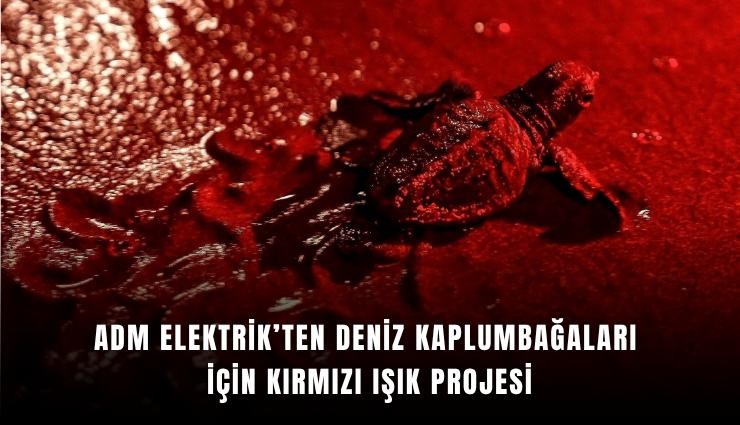 Adm Elektrik’ten deniz kaplumbağaları için kırmızı ışık projesi