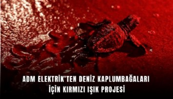 Adm Elektrik’ten deniz kaplumbağaları için kırmızı ışık projesi