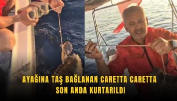 Ayağına taş bağlanan caretta caretta son anda kurtarıldı