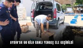 Aydın'da 60 kilo canlı yengeç ele geçirildi