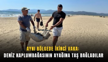Aynı bölgede ikinci vaka: Deniz kaplumbağasının ayağına taş bağladılar