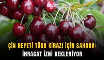 Çin heyeti Türk kirazı için sahada