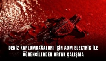 Deniz kaplumbağaları için ADM Elektrik ile öğrencilerden ortak çalışma