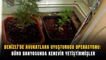 Denizli'de avukatlara uyuşturucu operasyonu: Büro banyosunda kenevir yetiştirmişler
