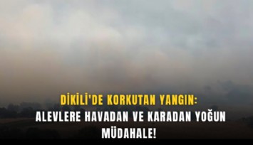 Dikili'de korkutan yangın: alevlere havadan ve karadan yoğun müdahale!