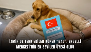 İzmir’de terk edilen köpek Bal, engelli merkezi’nin en sevilen üyesi oldu