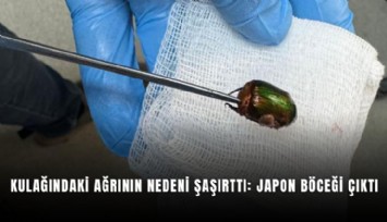 Kulağındaki ağrının nedeni şaşırttı: Japon böceği çıktı