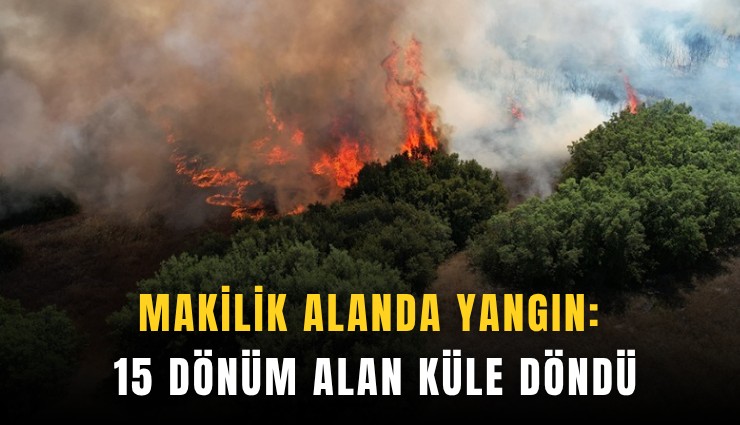Makilik alanda yangın: 15 dönüm alan küle döndü