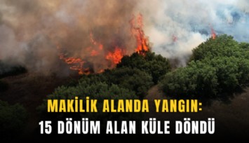 Makilik alanda yangın: 15 dönüm alan küle döndü