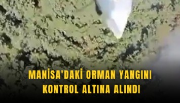 Manisa'daki orman yangını kontrol altına alındı