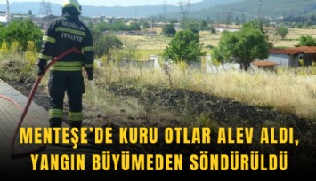Menteşe’de kuru otlar alev aldı, yangın büyümeden söndürüldü