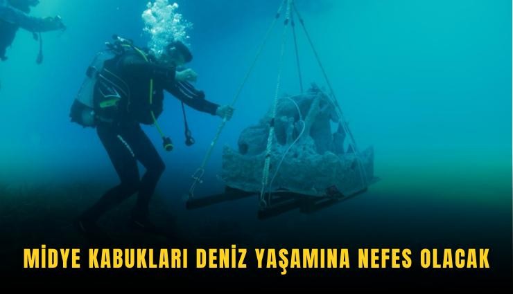 Midye kabukları deniz yaşamına nefes olacak