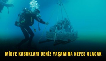 Midye kabukları deniz yaşamına nefes olacak