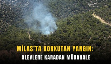 Milas’ta korkutan yangın: Alevlere karadan müdahale