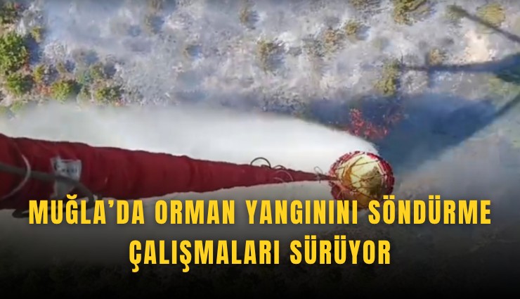Muğla'da orman yangınını söndürme çalışmaları sürüyor