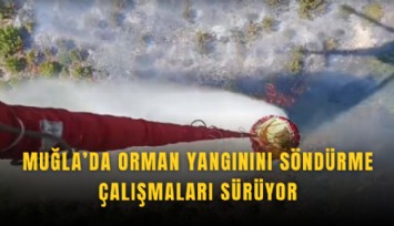 Muğla'da orman yangınını söndürme çalışmaları sürüyor