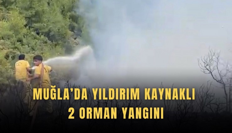 Muğla’da yıldırım kaynaklı 2 orman yangını