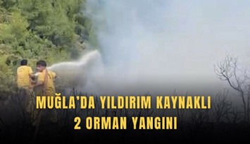 Muğla’da yıldırım kaynaklı 2 orman yangını