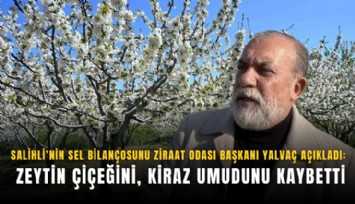 Salihli’nin sel bilançosunu Ziraat Odası Başkanı Yalvaç açıkladı:Zeytin çiçeğini, kiraz umudunu kaybetti