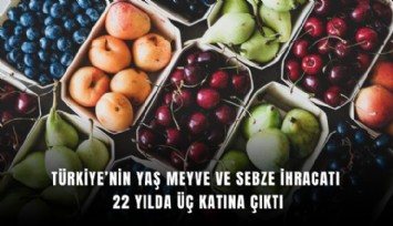 Türkiye’nin yaş meyve ve sebze ihracatı 22 yılda üç katına çıktı